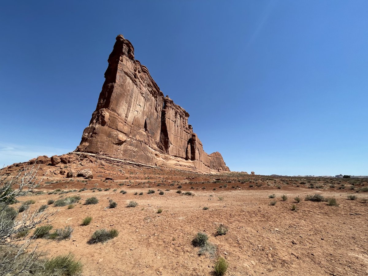 James Boyd tweet media