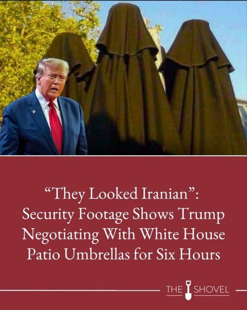 Kate Kangaroo tweet media