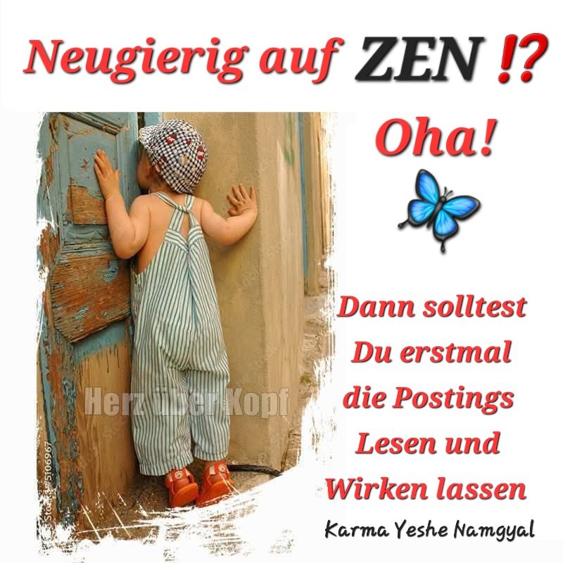 TAO CHAN 🪷 ZEN tweet media