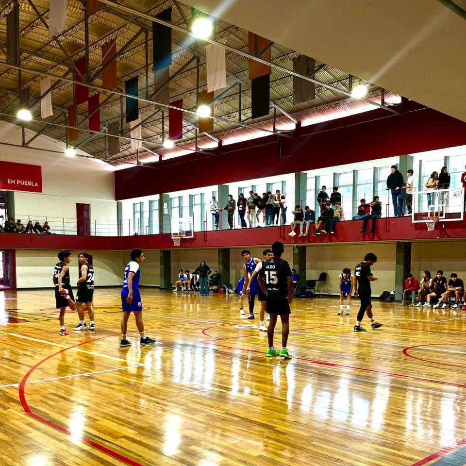 Prepa UPAEP tweet media