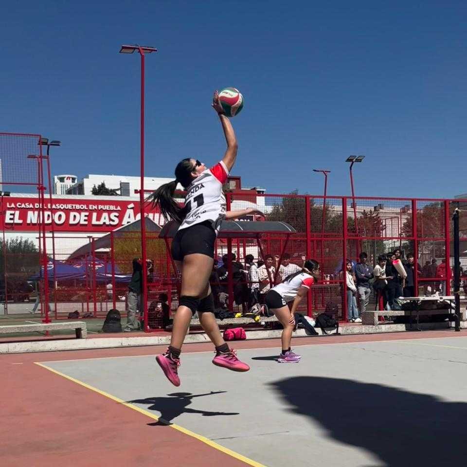 Prepa UPAEP tweet media