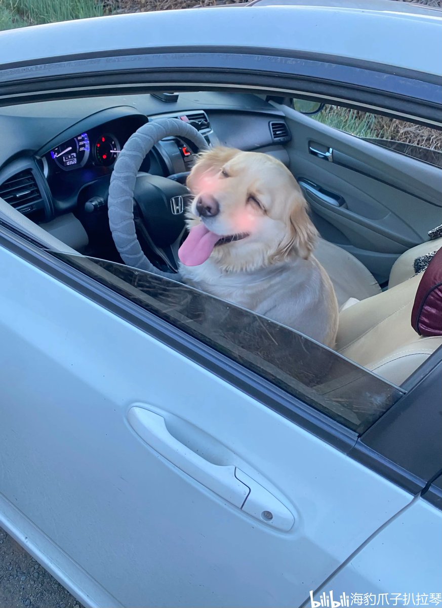 вадим Шалындин tweet media