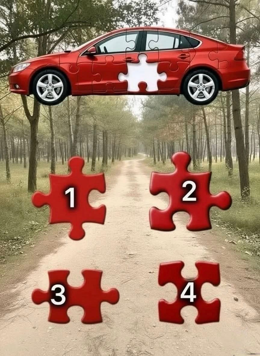 𝐌𝐚𝐭𝐭 𝐏𝐢𝐧𝐧𝐞𝐫 tweet media