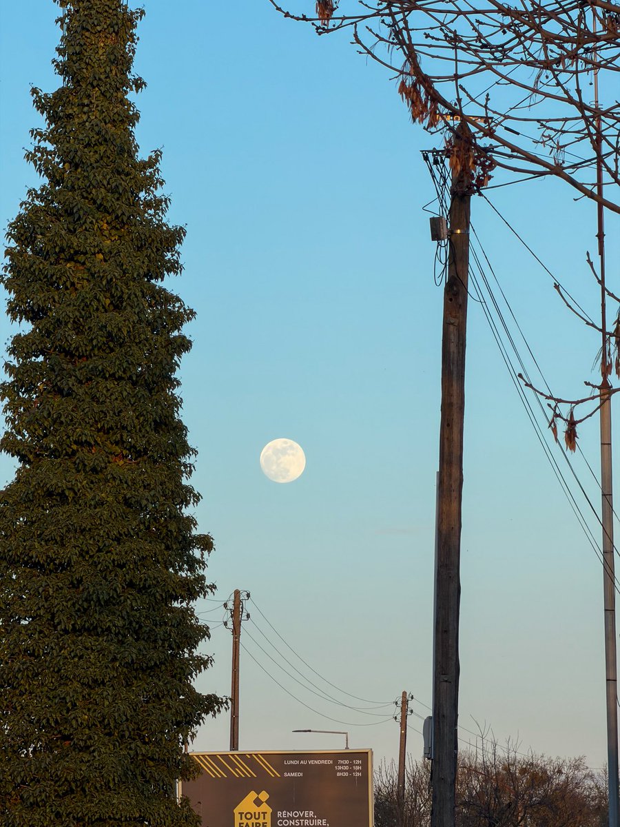 𝐗𝐈 tweet media