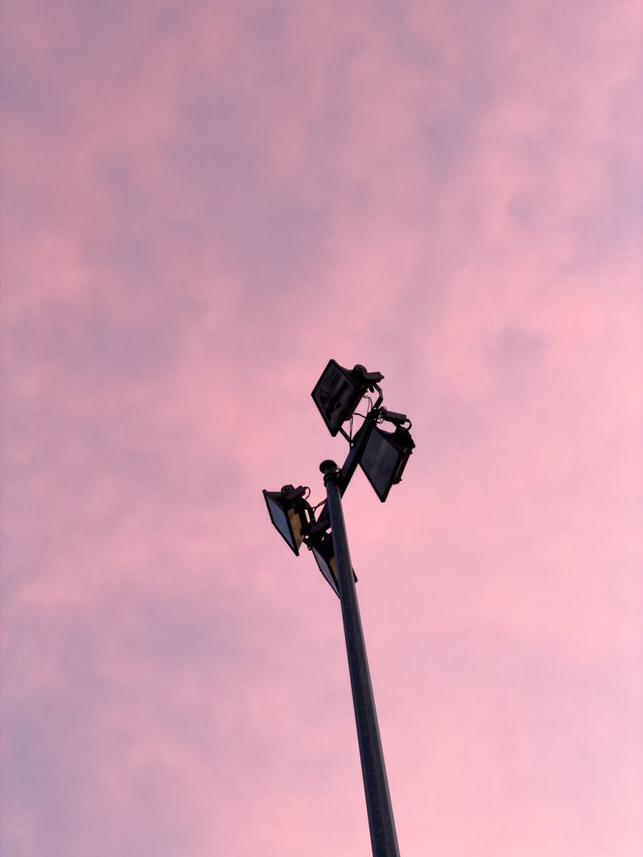 𝐗𝐈 tweet media