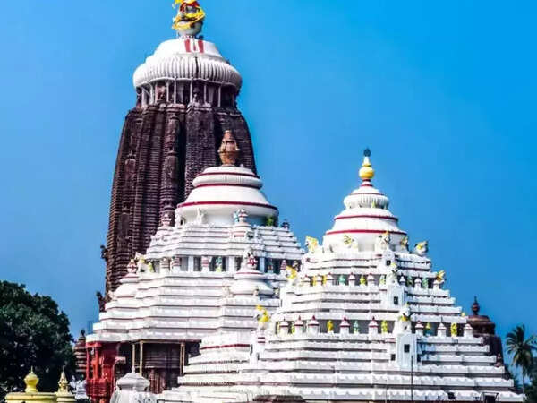 News Algebra tweet media