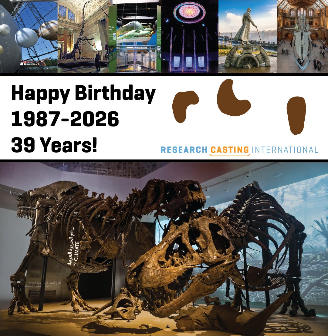 Research Casting International tweet media