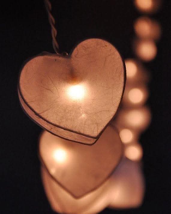 ali alghamdi tweet media