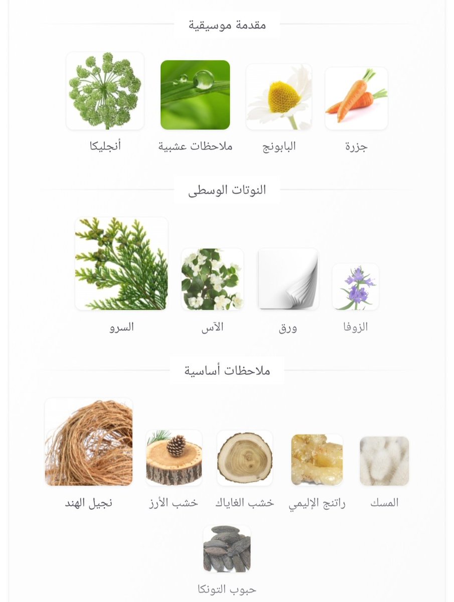 حسين tweet media