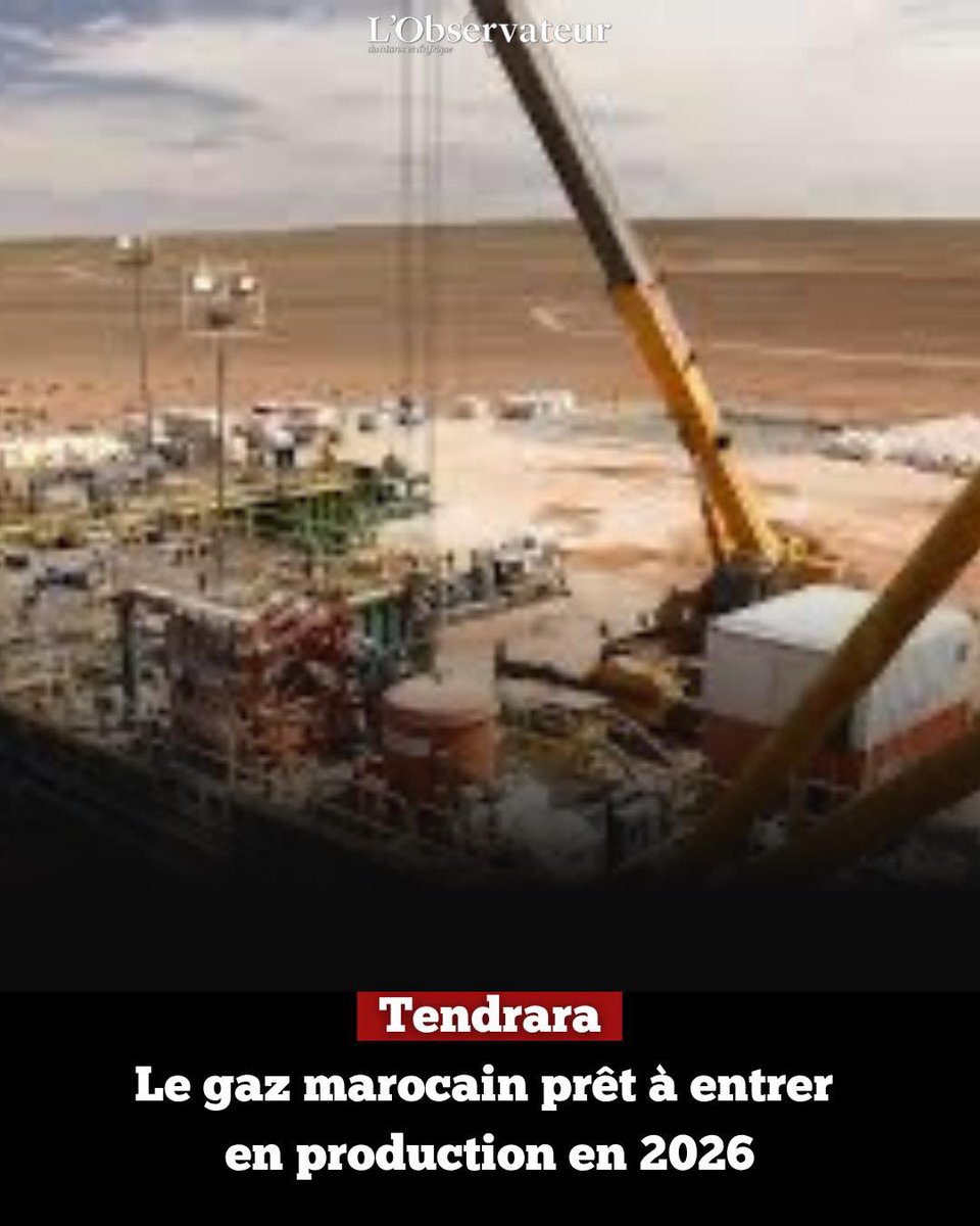 L'Observateur du Maroc et d'Afrique tweet media