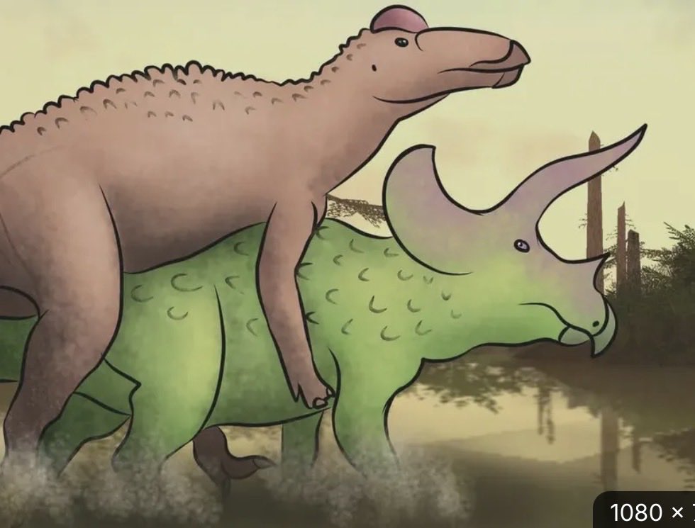 Mindless SheepUSA tweet media