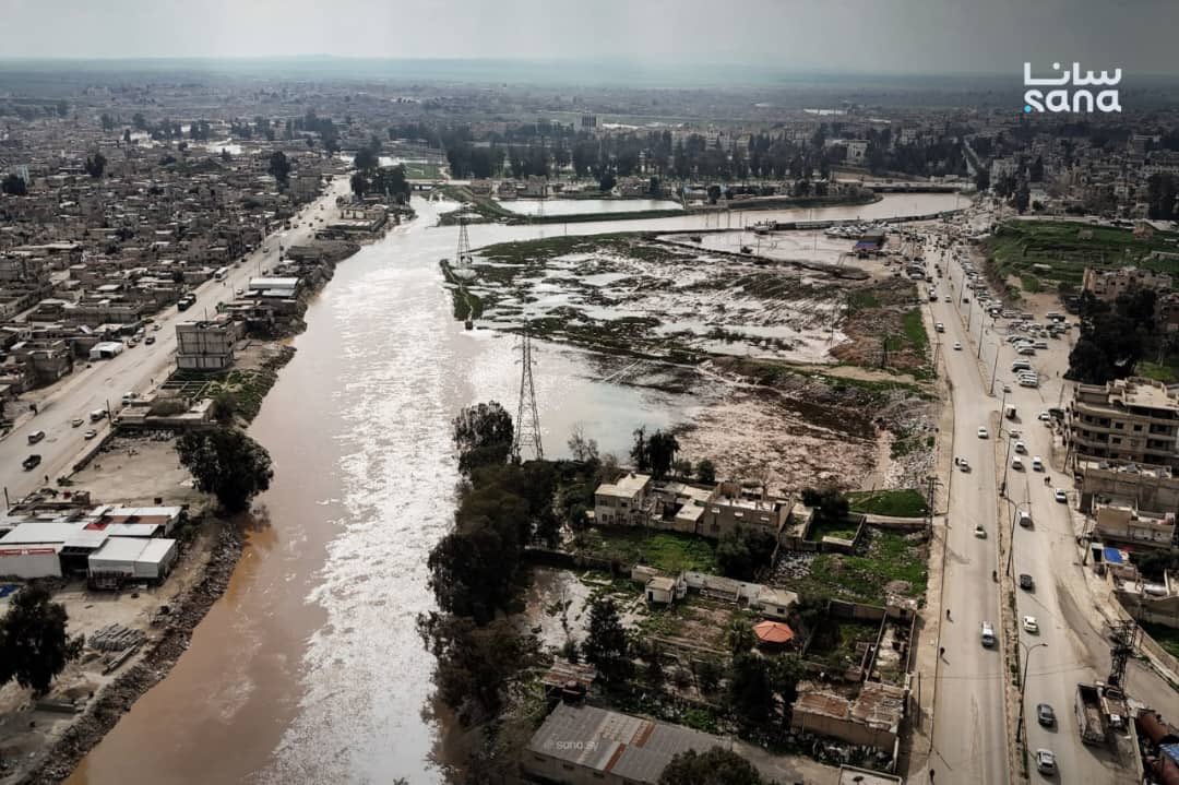 ورد الشام tweet media