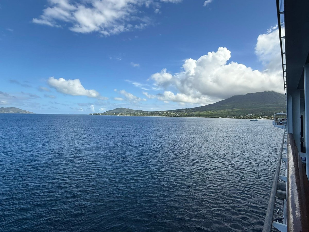 Htownfinfan tweet media