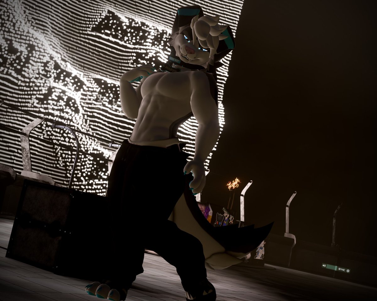 Marvii The Collie tweet media