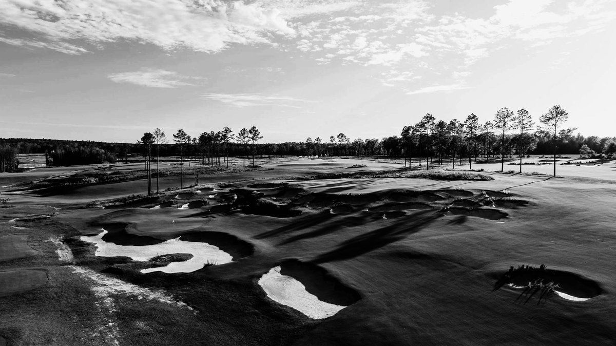 Bethpage Black Metal tweet media