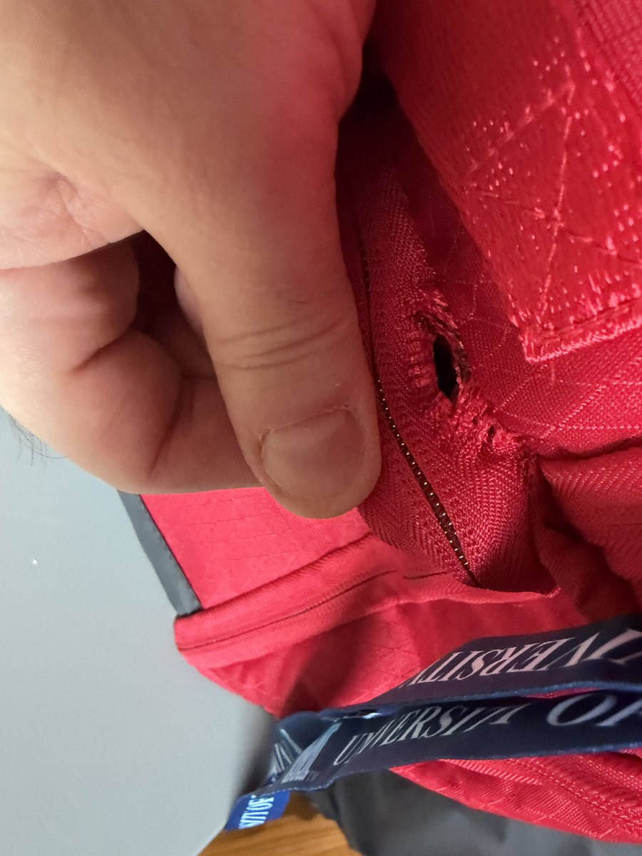 doug__todd tweet media