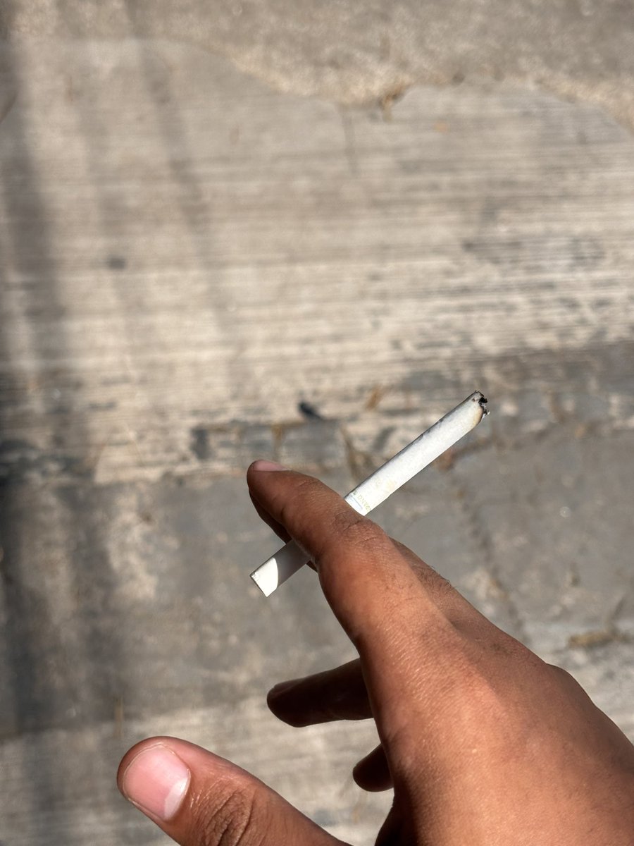 sabrino carpinto tweet media