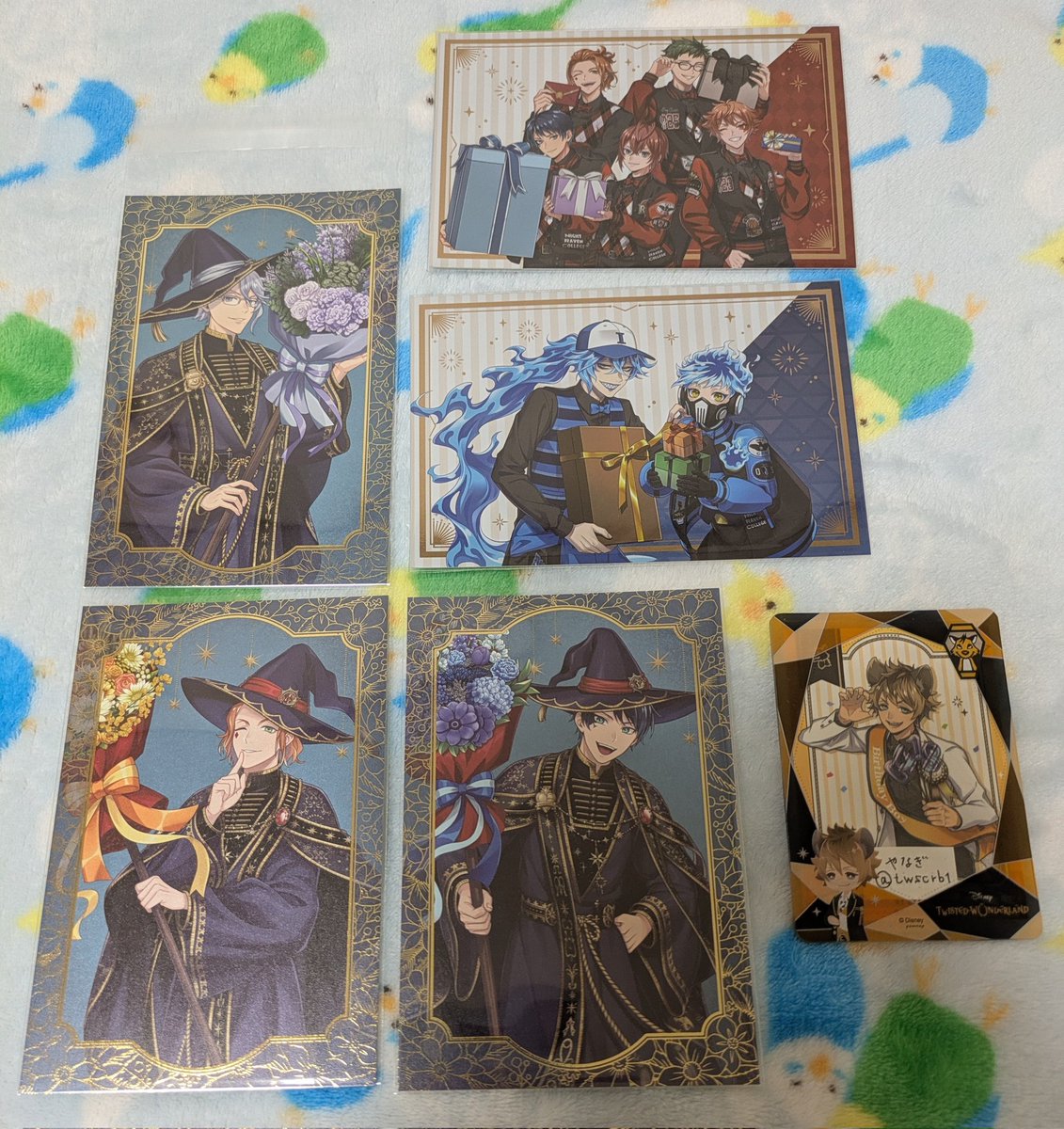 やなぎ🍩プロカ tweet media