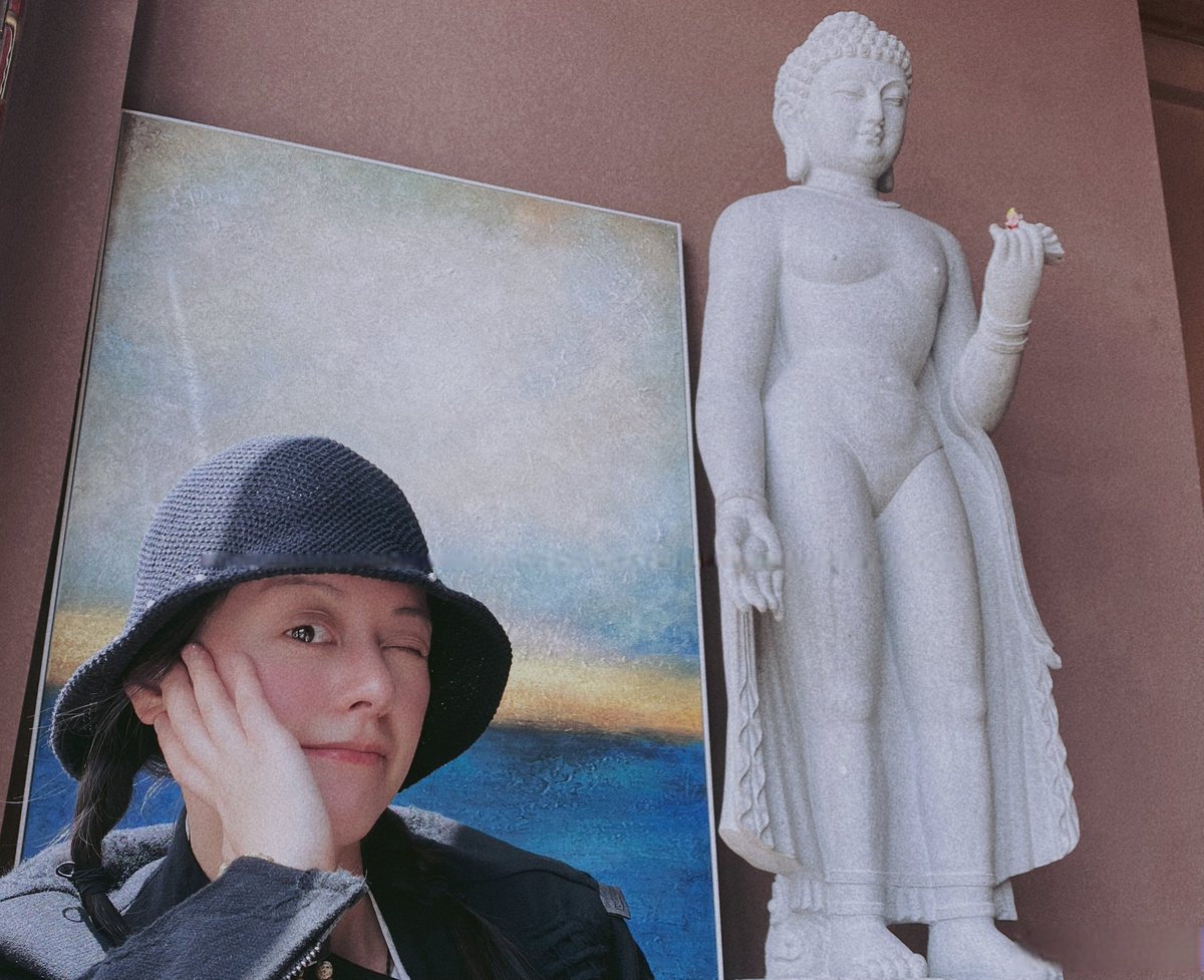 Megan Coll tweet media