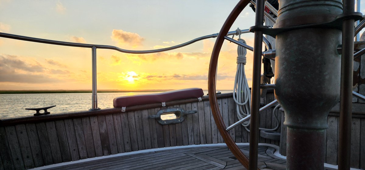 DAWGS ON TOP! tweet media