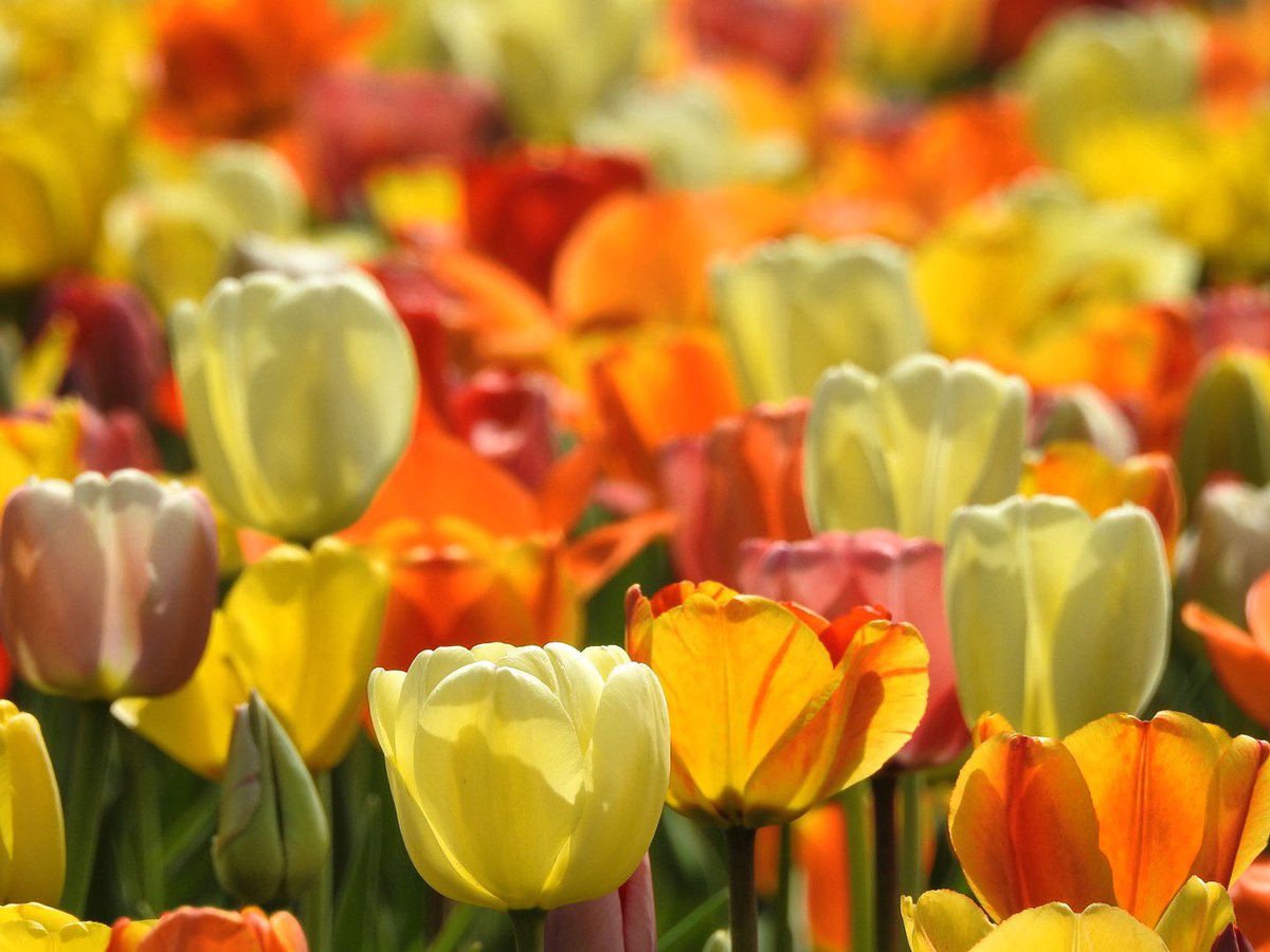 mandyhawk19 tweet media