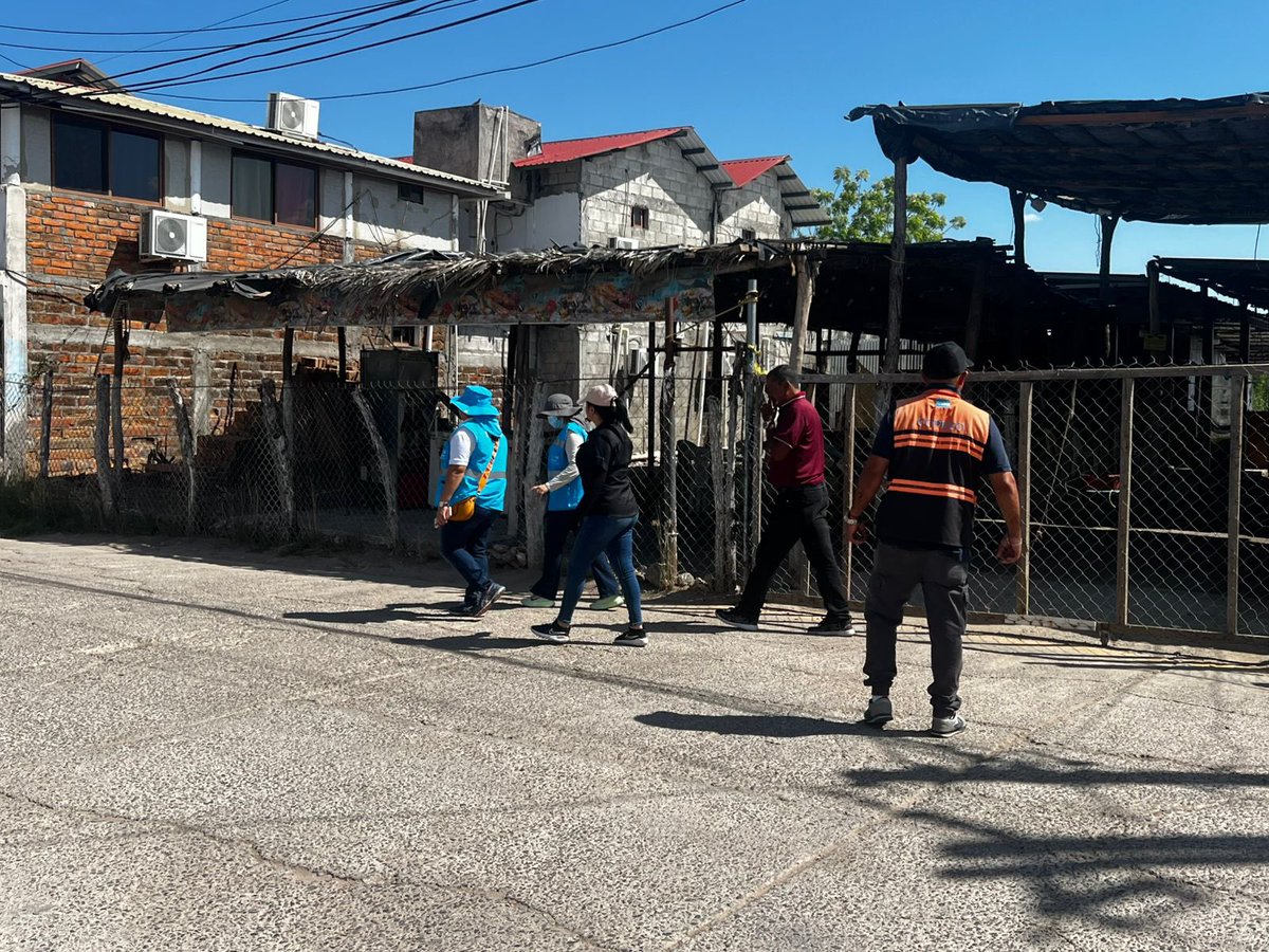 Secretaría de Gestión de Riesgos y Contingencias tweet media