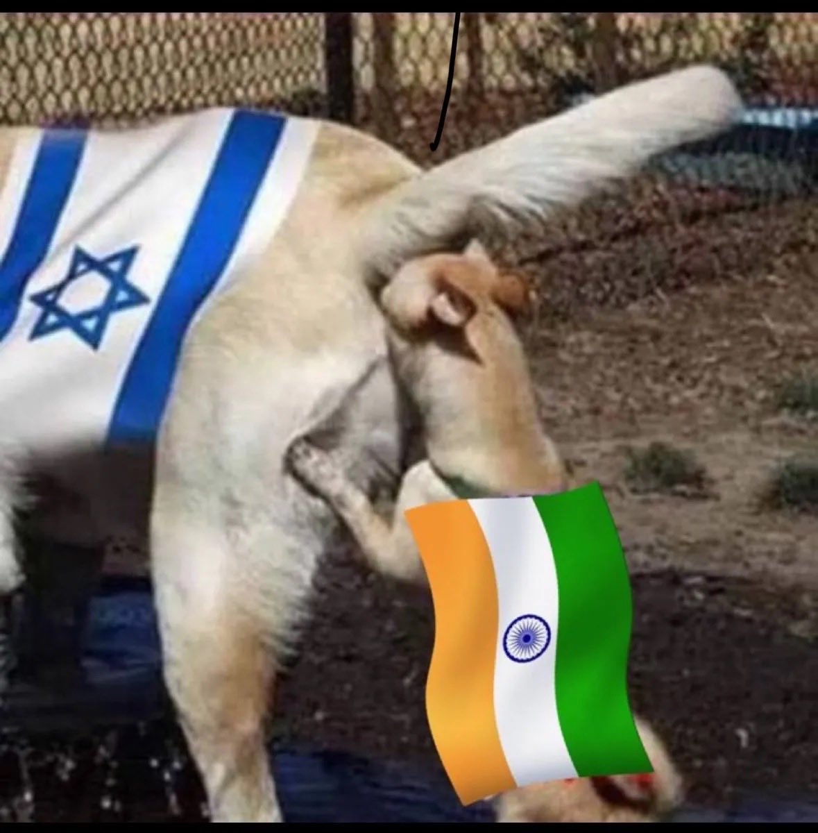 puffbunny j tweet media