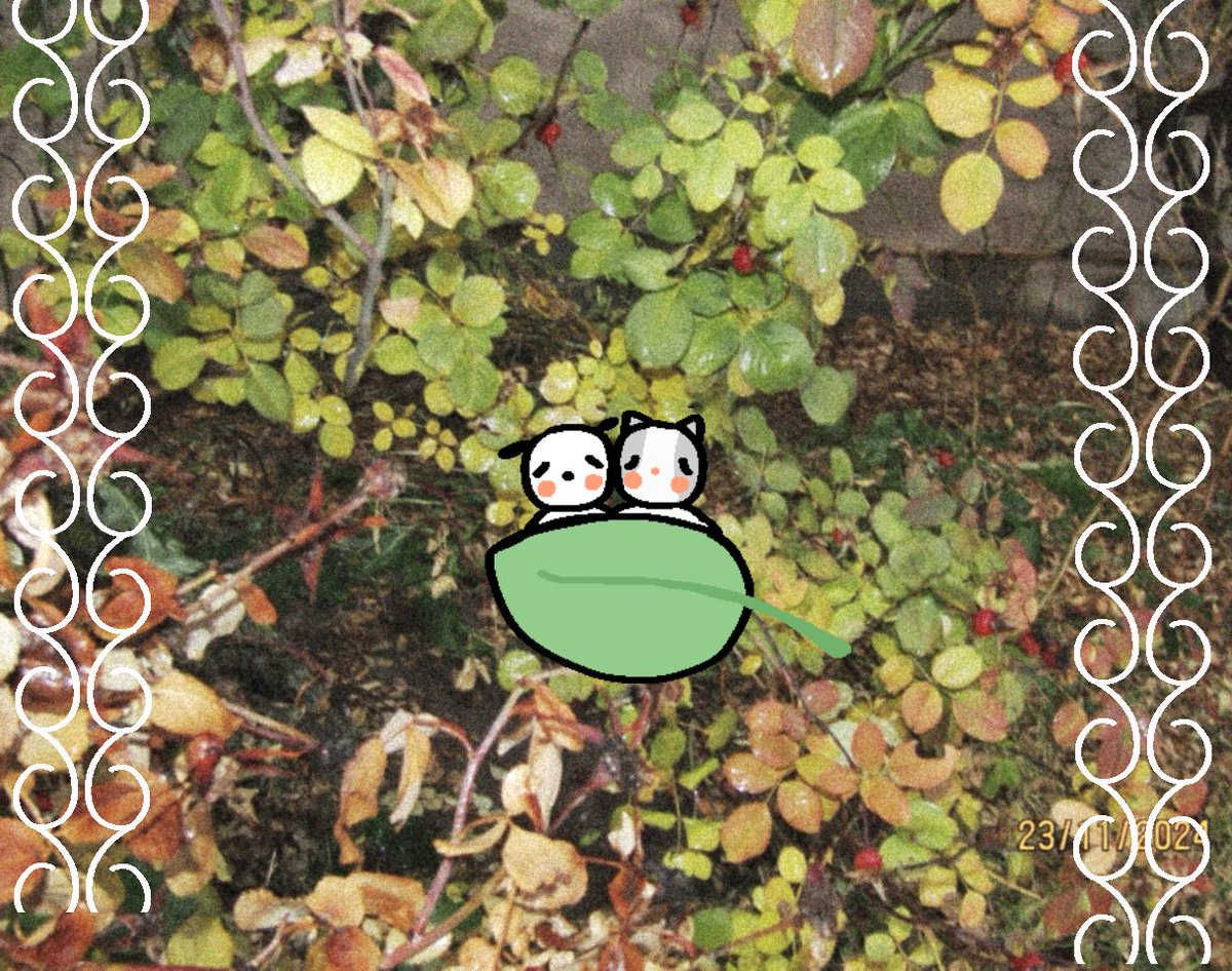 elle clover tweet media