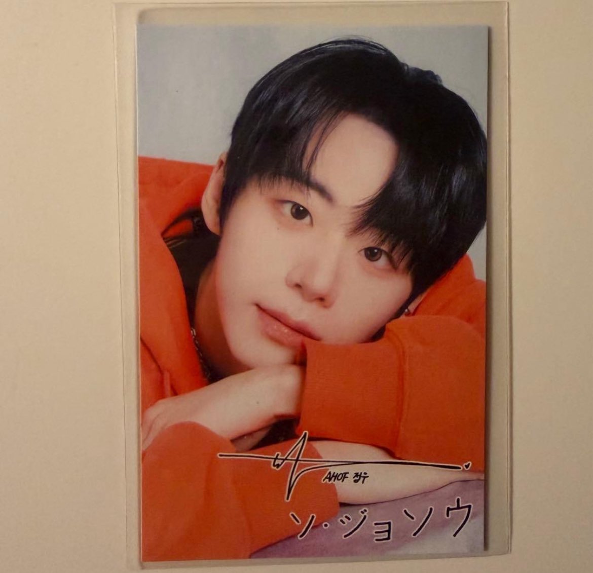 ݁₊ ⊹˚୨ৎ ྀི . ݁ | yangdo xianyu mercari assistance tweet media