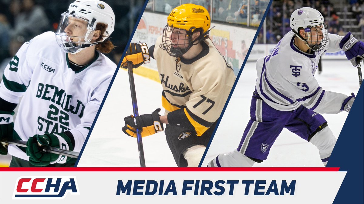 Tech Hockey Guide tweet media