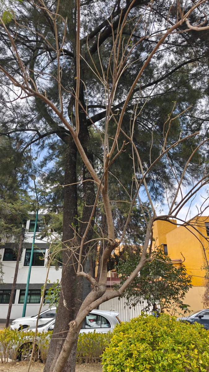 Rob Setter tweet media