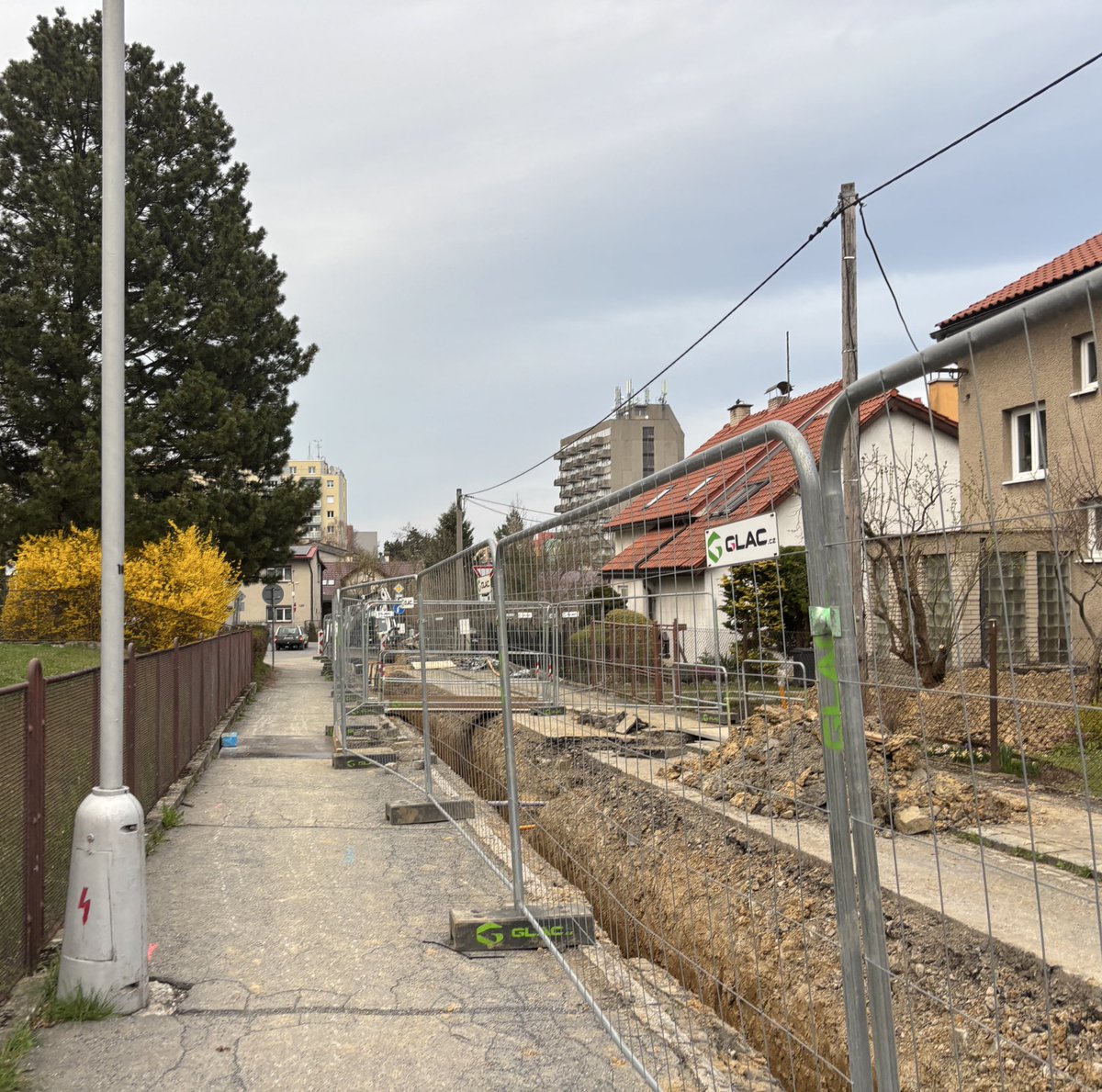 sword fan 🚭 tweet media