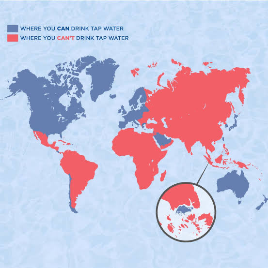 BLACK DUMPLING™ tweet media