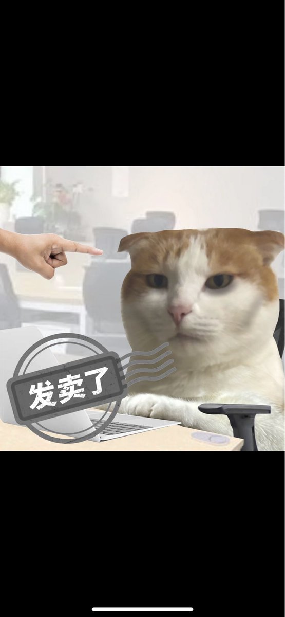 雪花酥 tweet media