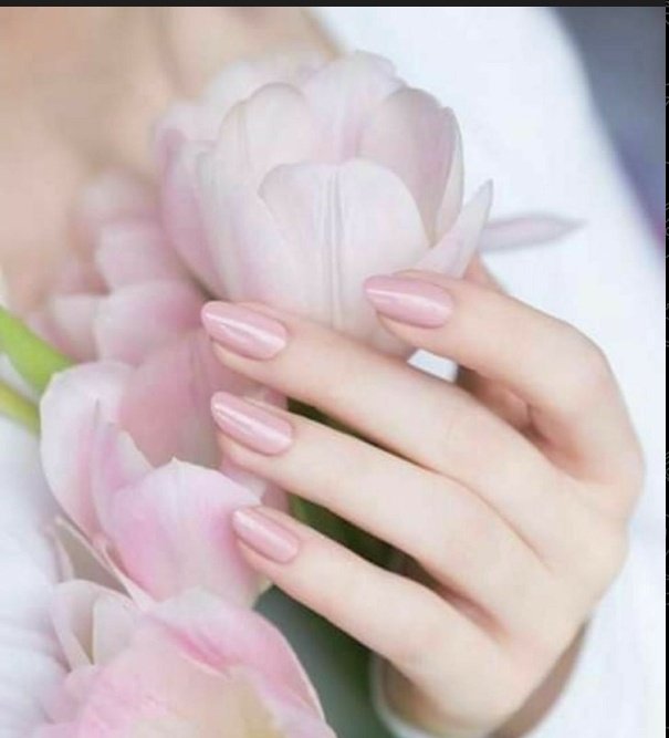 المتألقــة،🎀 tweet media