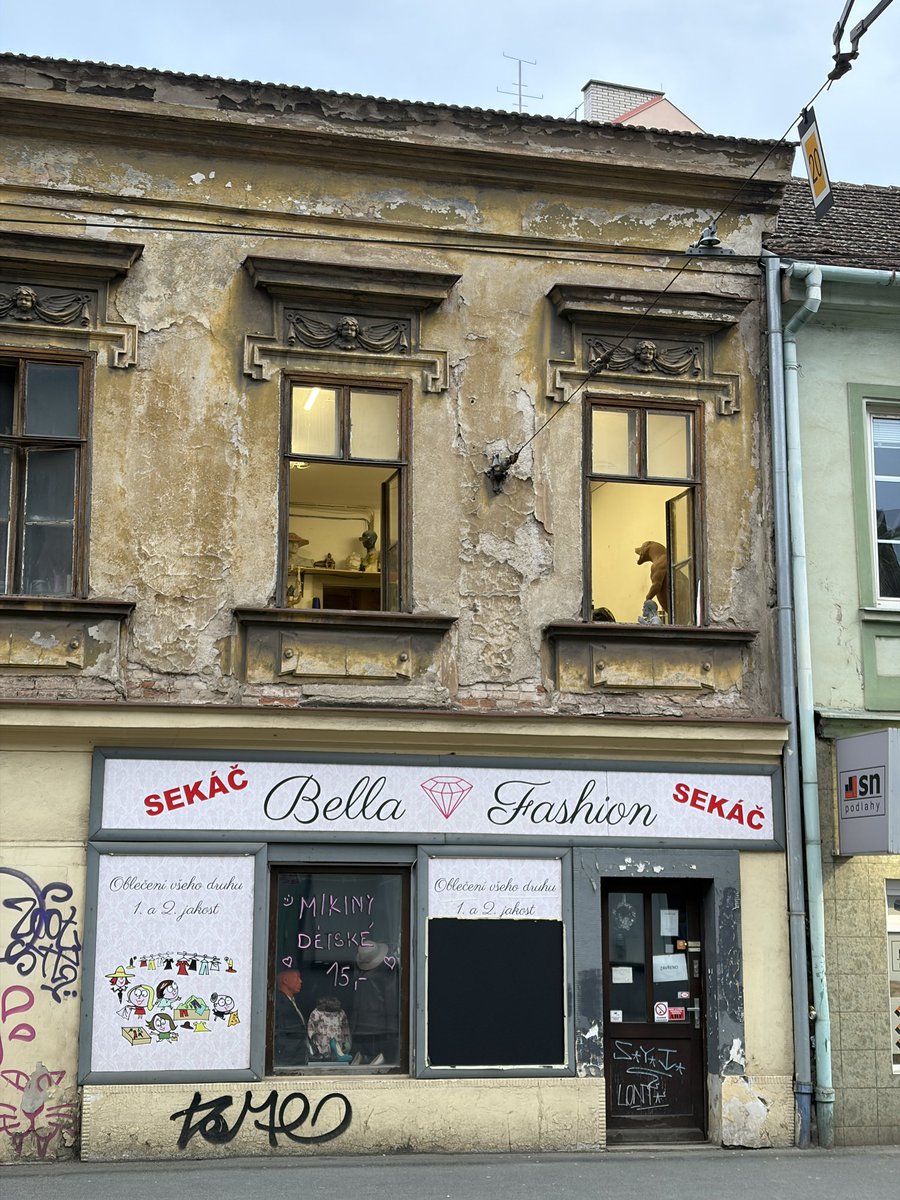 Líný expert tweet media