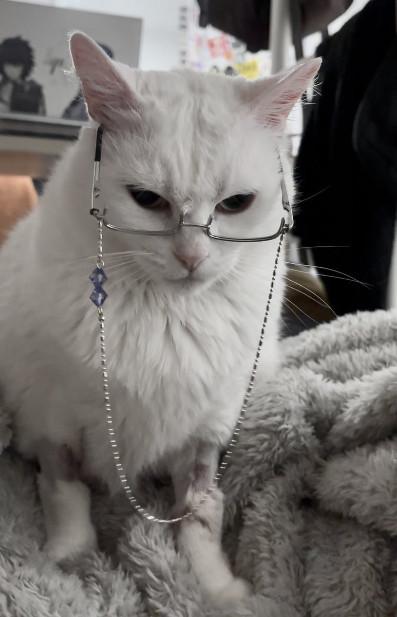 fish ₓ˚○◦˚. tweet media