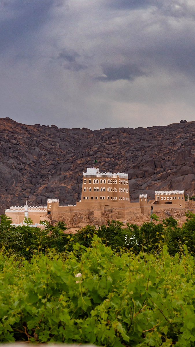 ﮼نظـــرة ﮼يامي look_yami tweet media