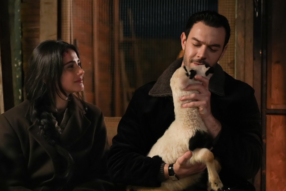 Helin Taşyurt tweet media