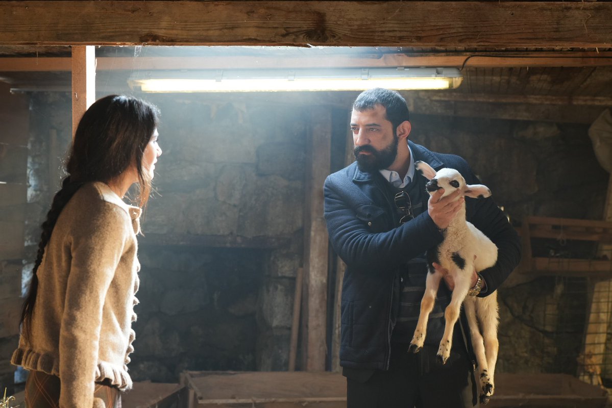 Helin Taşyurt tweet media