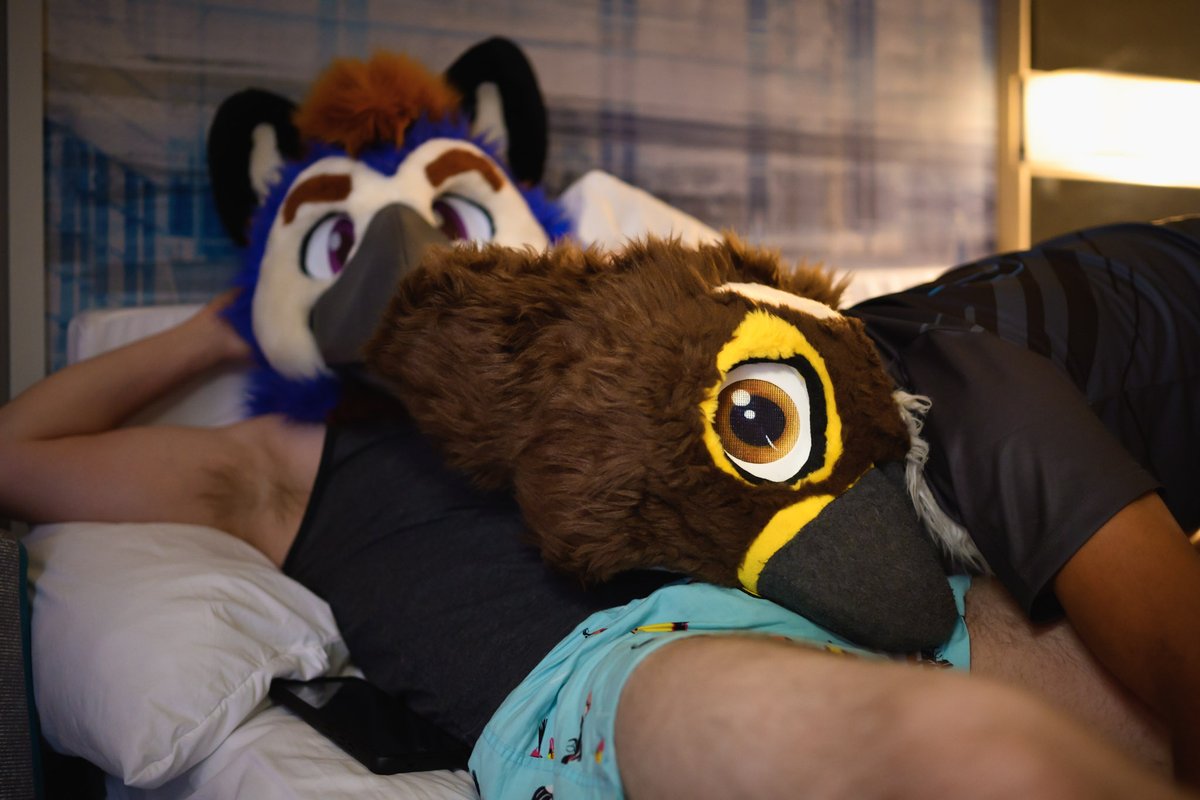 Sulf, Only Naughtier! 🔜 TFF tweet media