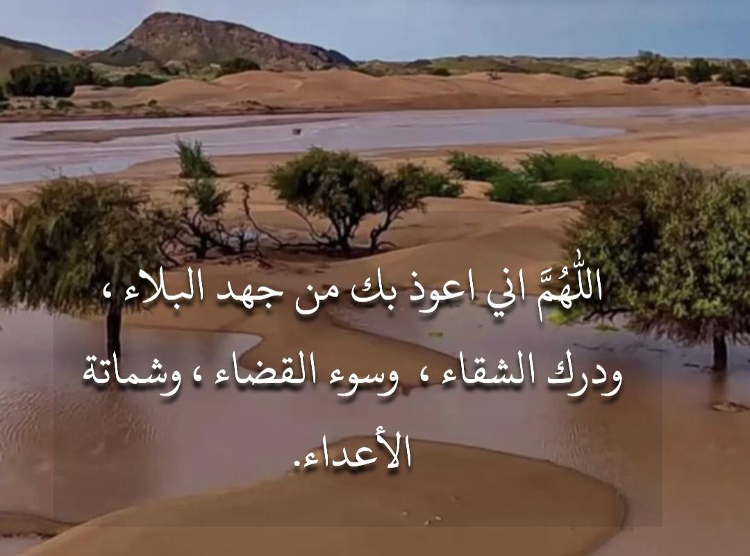 ناجي بن ضويحي tweet media