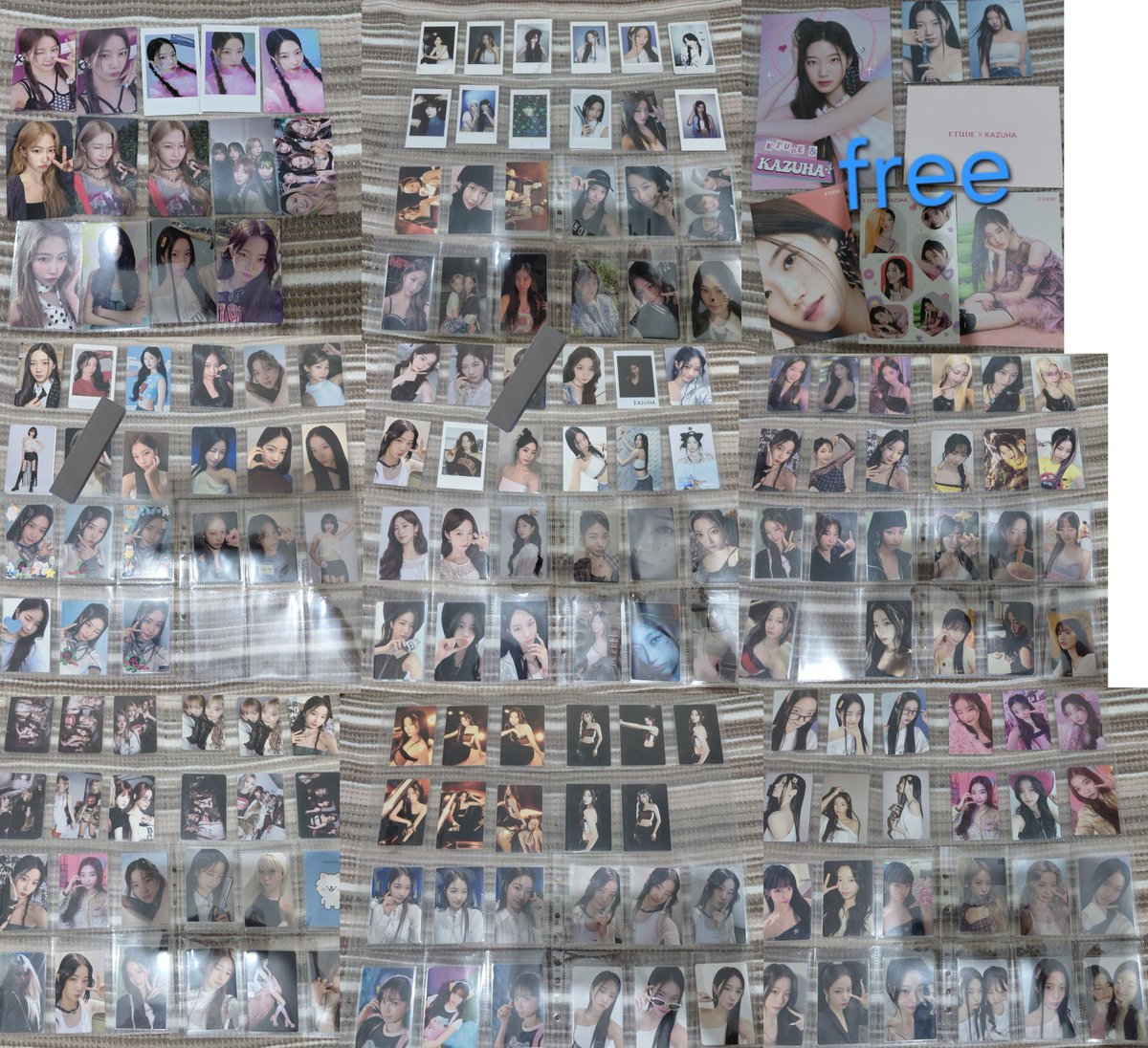 zuzu like animals ~♪ tweet media