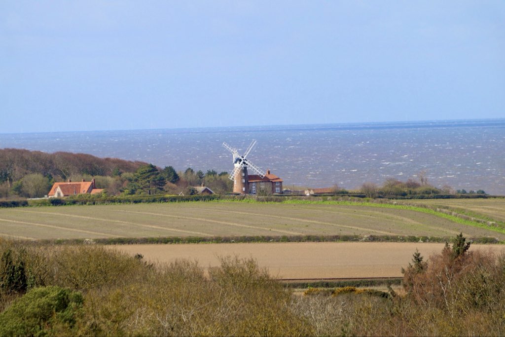 Sarah coxh tweet media