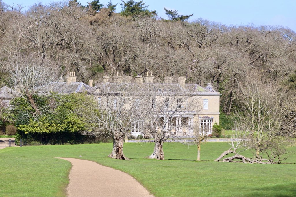 Sarah coxh tweet media