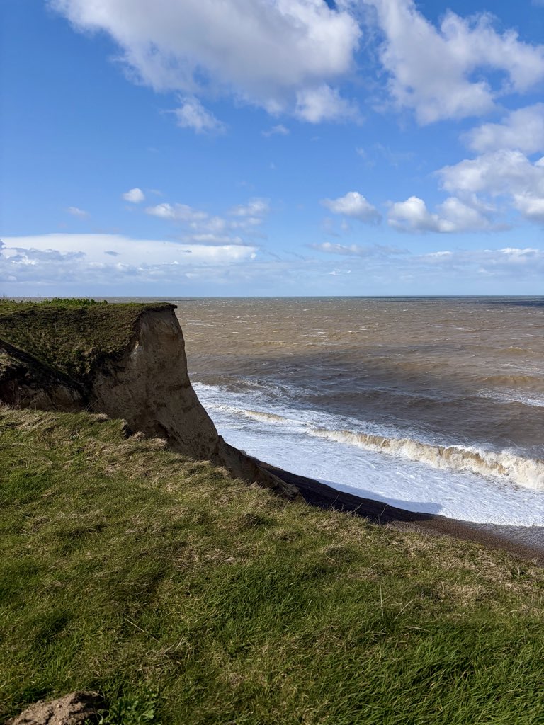 Sarah coxh tweet media