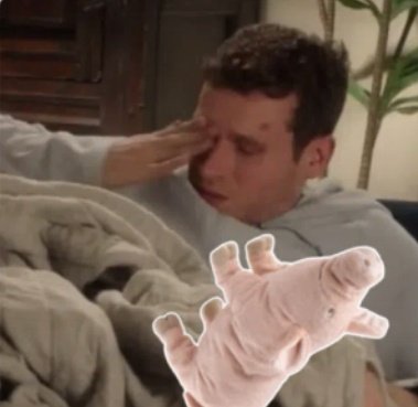 xiv 🐕 ceo of dog buck tweet media