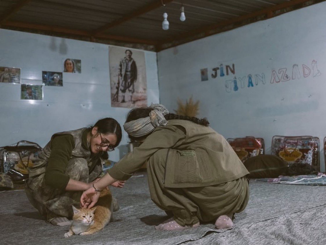 İstiklal Kadınları Hareketi tweet media