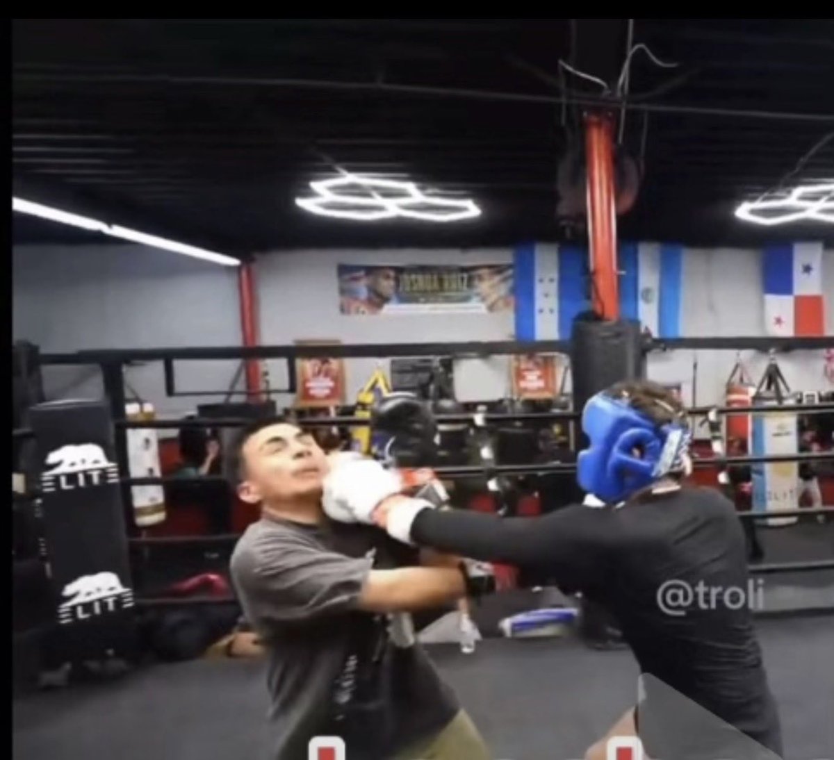 Hasbulla Magomedov tweet media