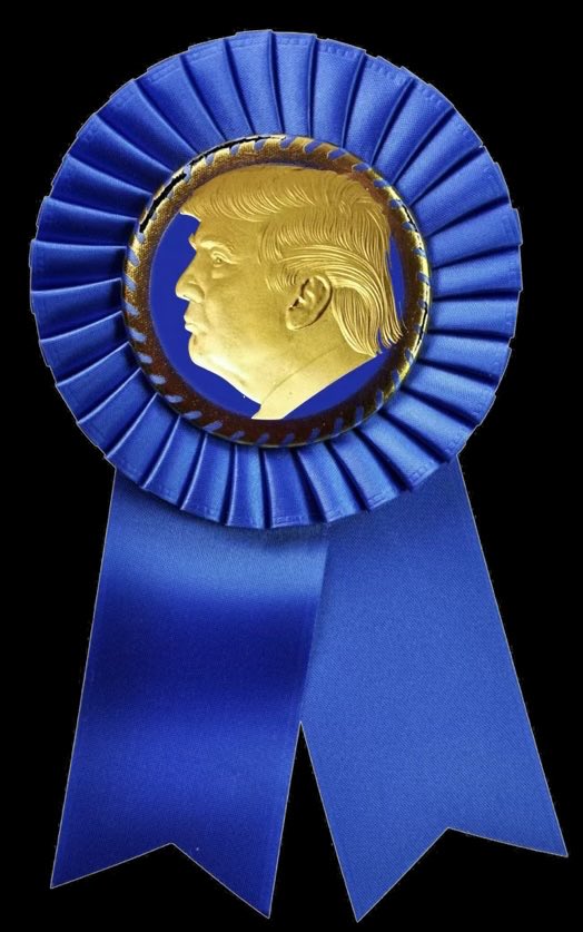 The Solutions Party tweet media